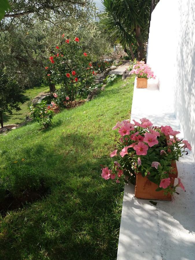 Villa Kostandin Qeparo Kültér fotó