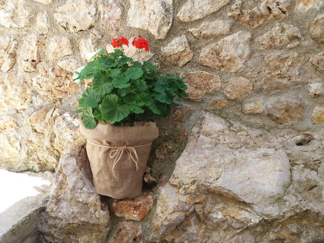 Villa Kostandin Qeparo Kültér fotó